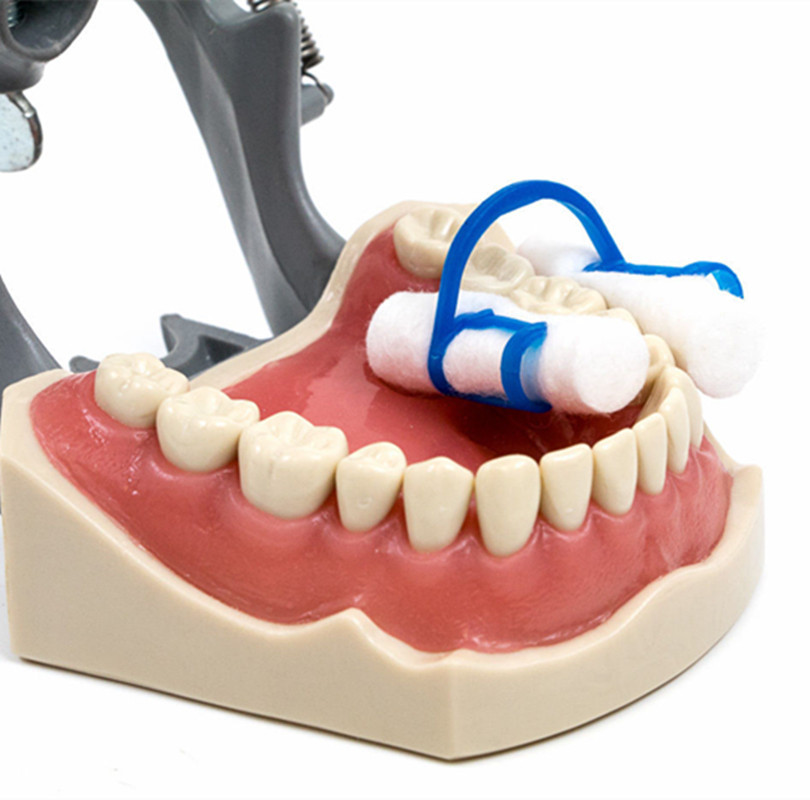 20 Pcs/Bag Cotton Roll Holder Disposable Blue Clip Dental/Dentist Clinic Holder