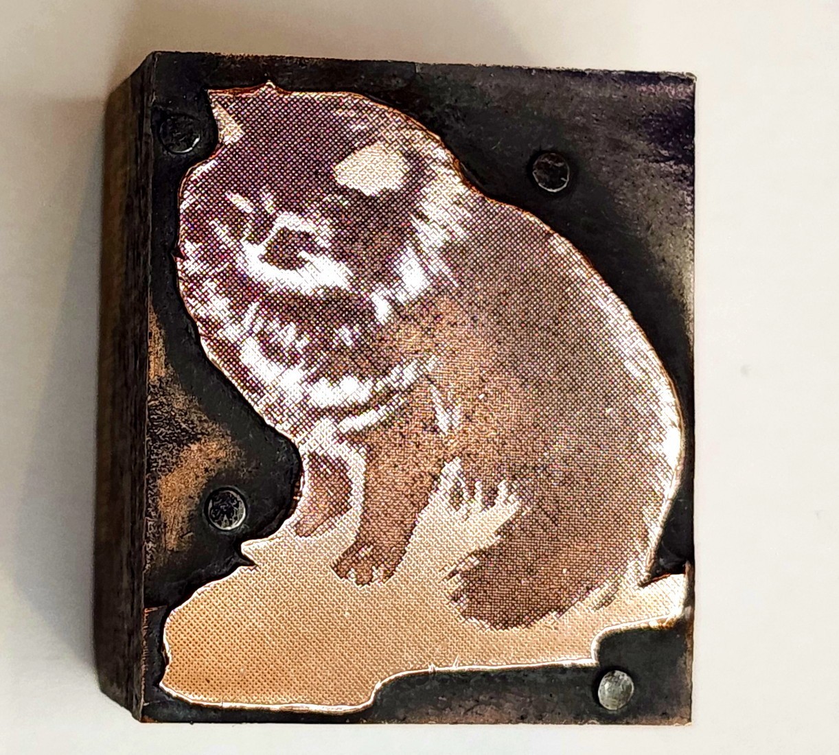 Letterpress Printing Block Cat Copper 1.25″ x 1 1/8″