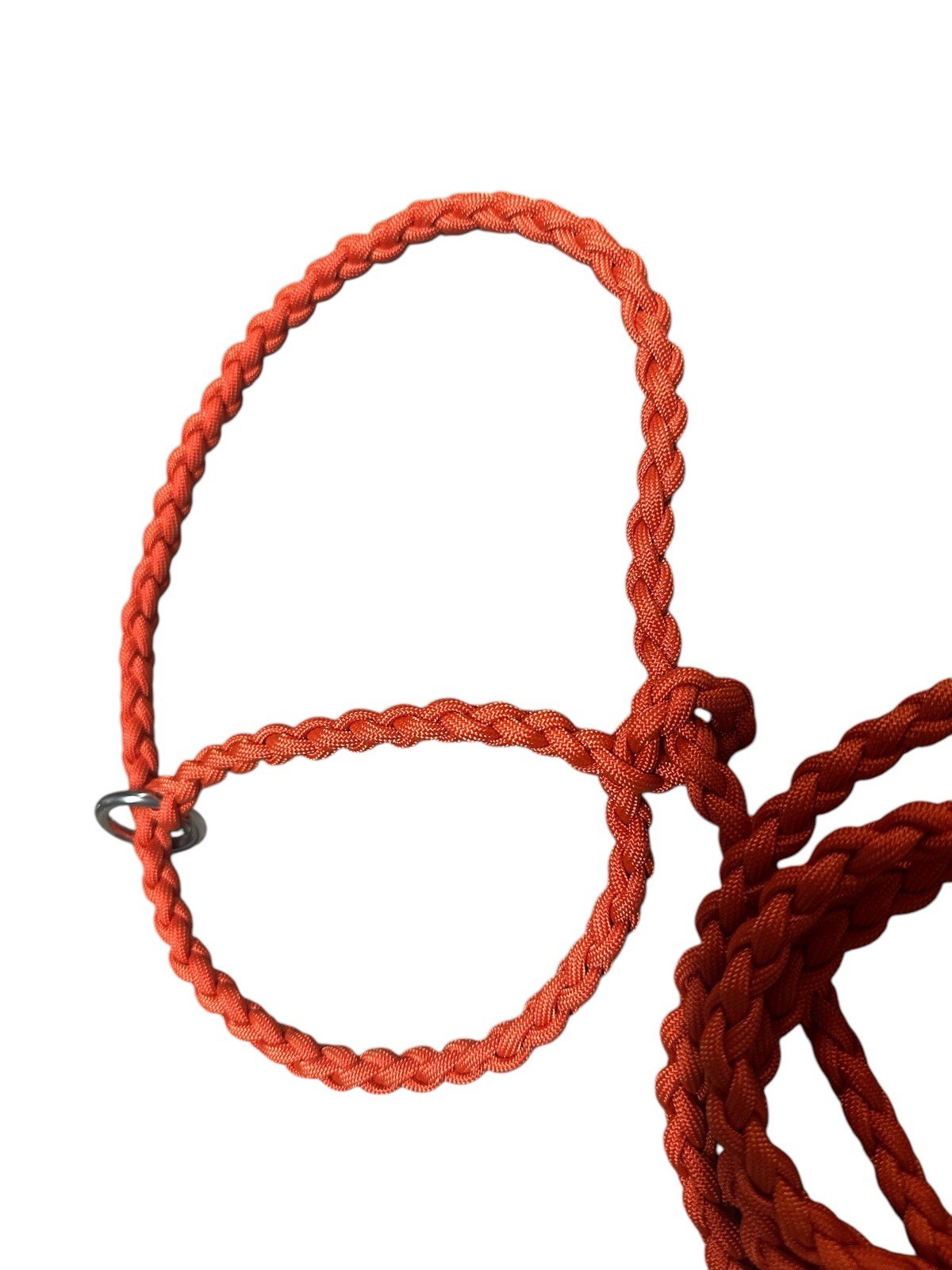 goat halter small livestock halter Burnt orange