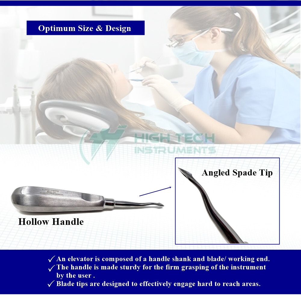 Dental Surgery Elevator Bernard Spade 0060M Root Extraction, Teeth Luxating NEW