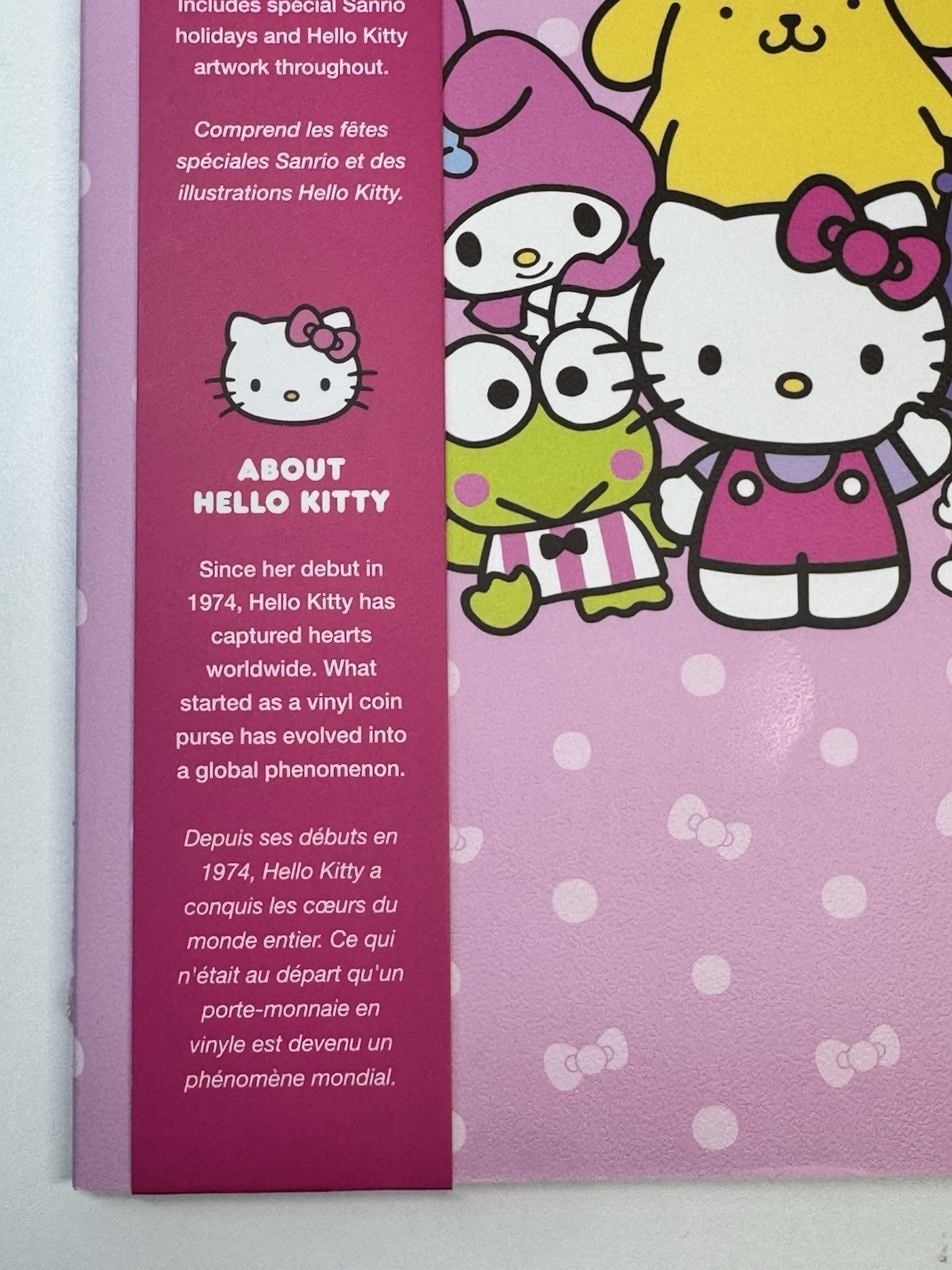 2026 – 2027 Sanrio HELLO KITTY 17 Months Monthly Planner Pink Size MEDIUM