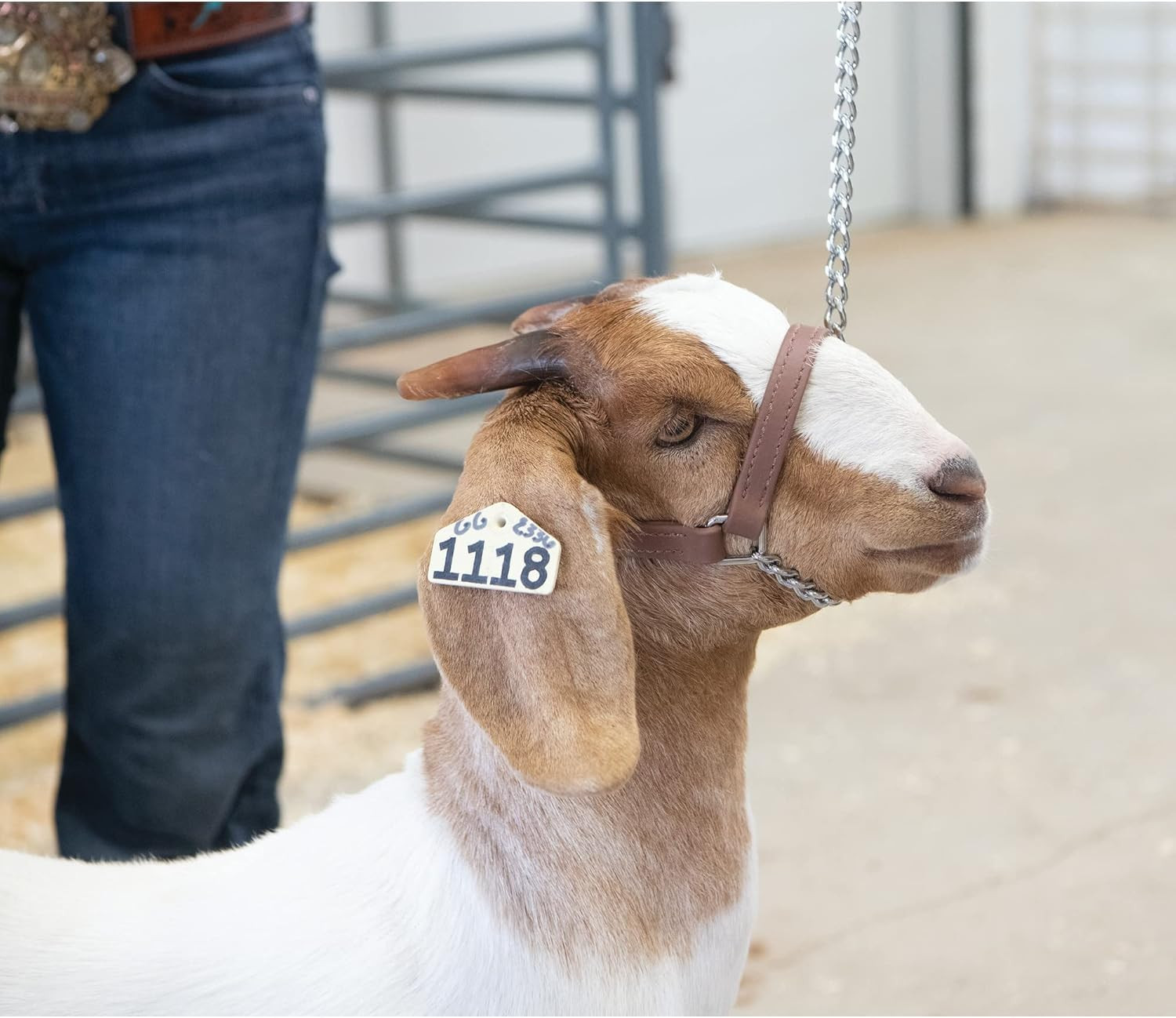 Weaver Leather Livestock Adjustable Brahma Webb Goat Halter