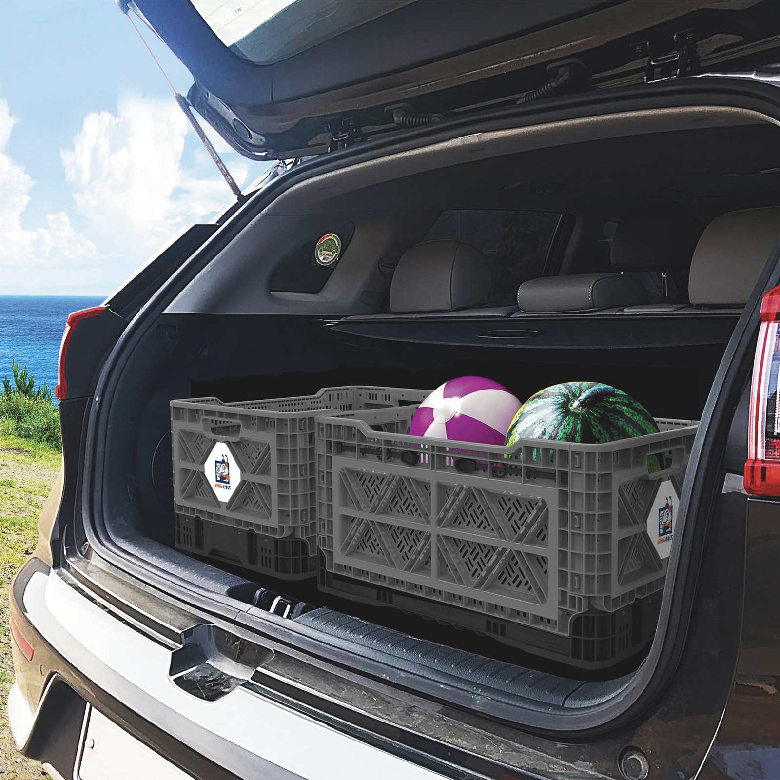 BIG ANT Collapsible Smart Crate, 23.8-Gallon, 265-Lb. Capacity, 16 9/16in.L x