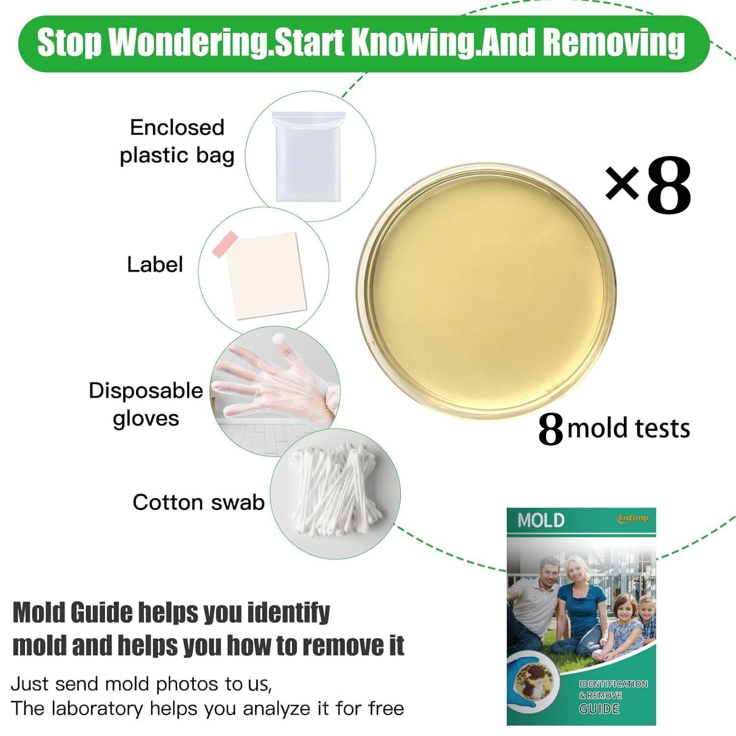 Mold Test Kit for Home Within 8 Individual Tests,DIY Detector at…