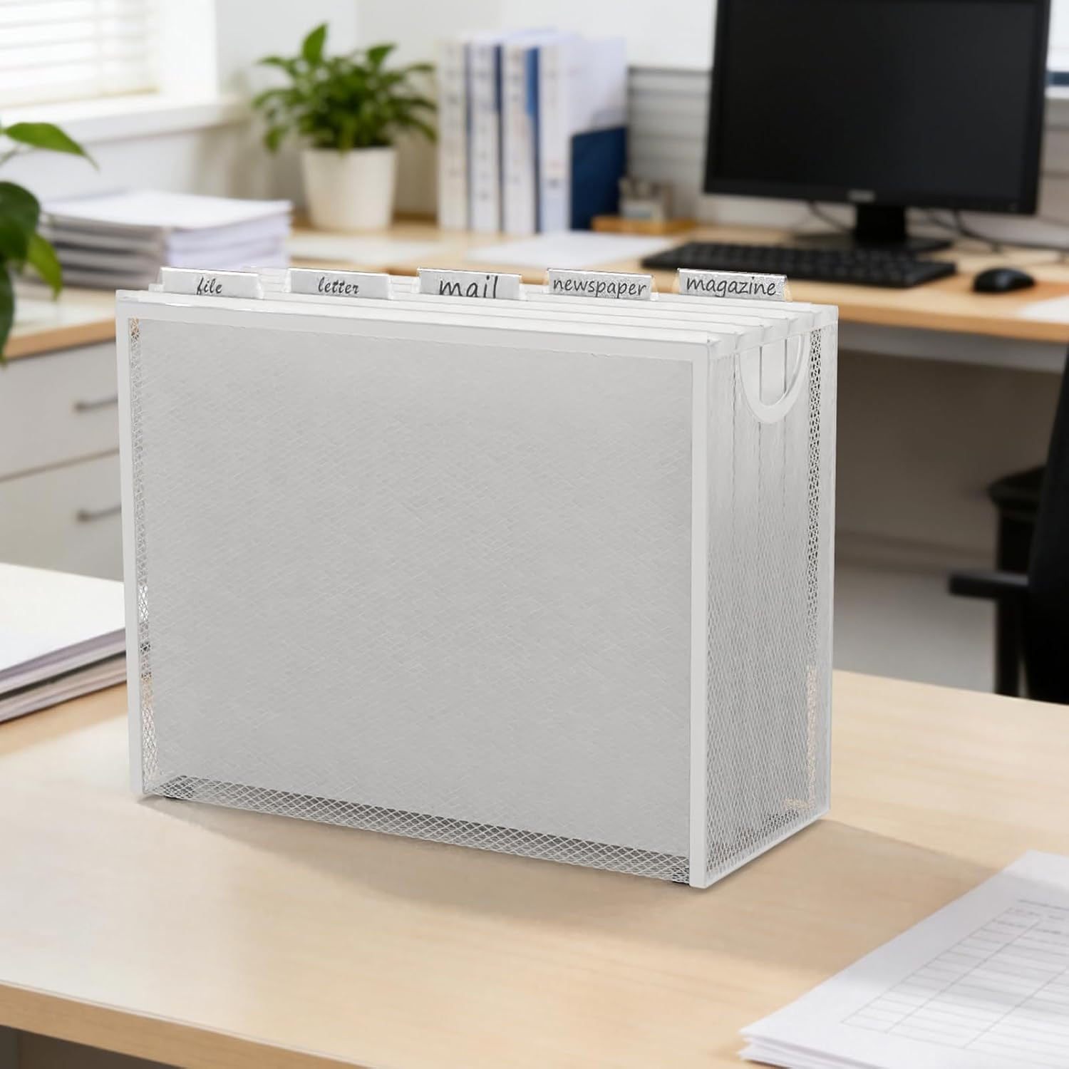 Hanging File Organizer Letter-Size File Holder Filing Box