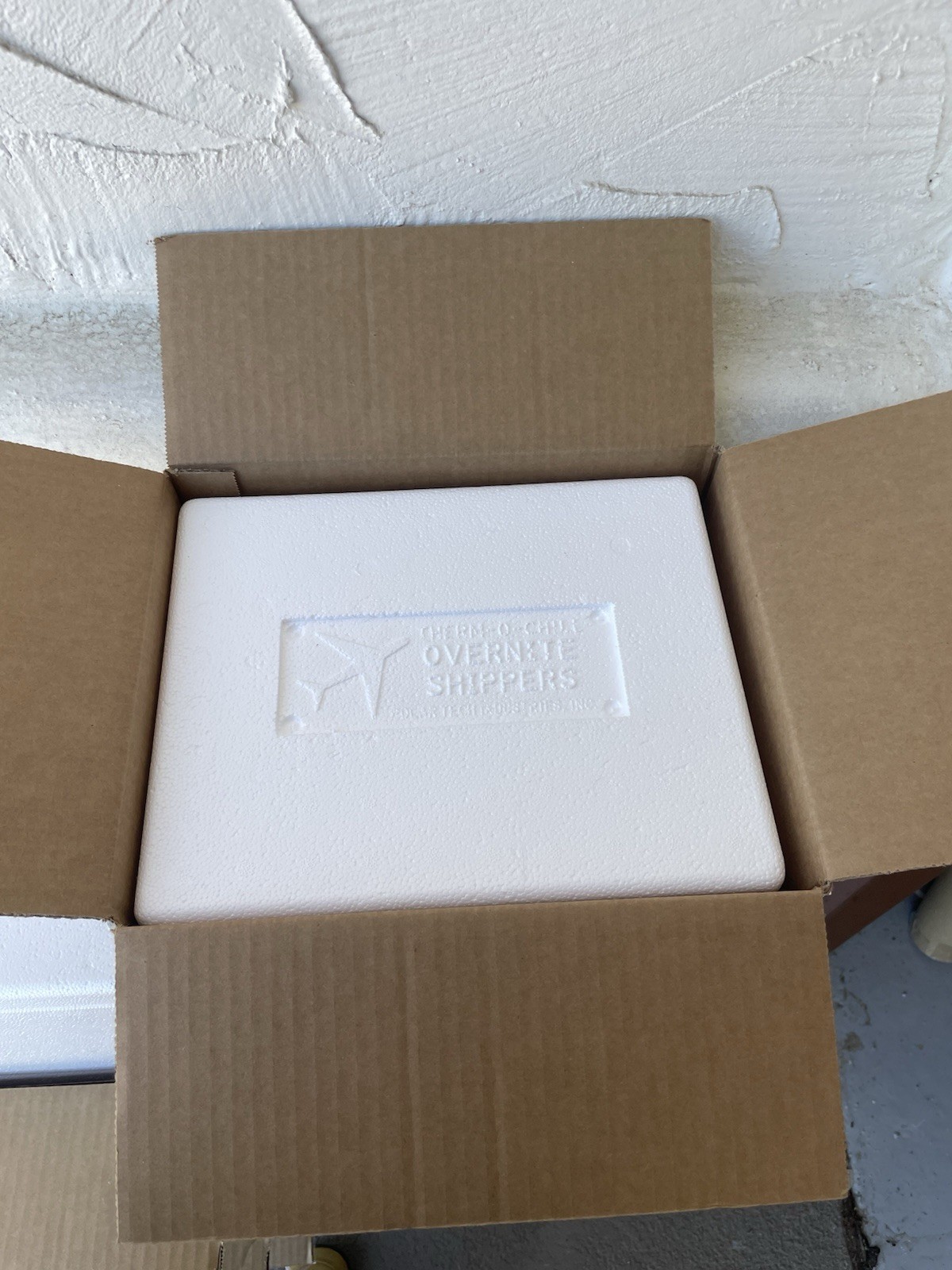 Uline Insulated Foam Shipper Box Cooler Meds Food Taxidermy, Includes Cold Packs