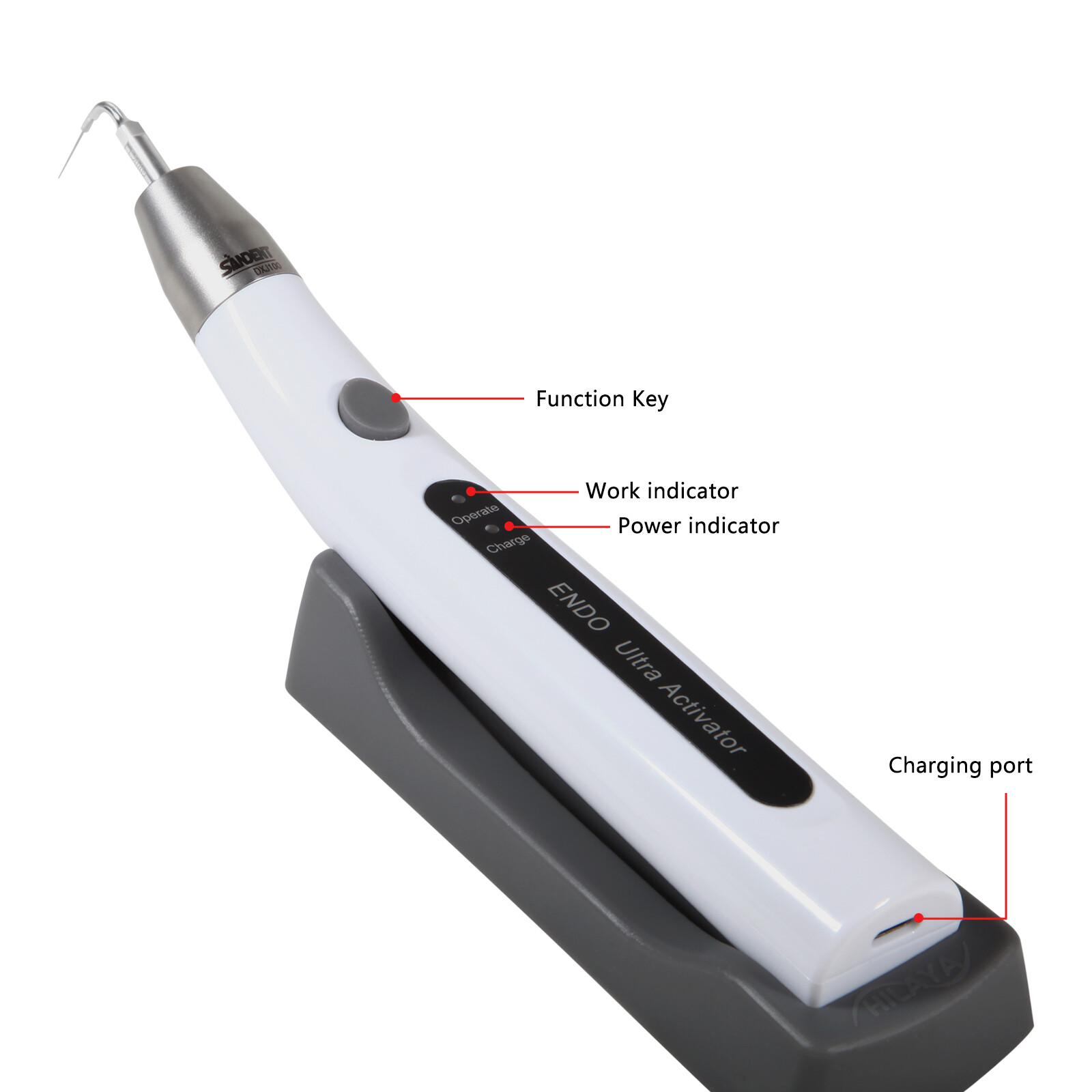 Dental Endo Ultra Activator Ultrasonic Irrigator Root Canal Handpiece & Tips Kit