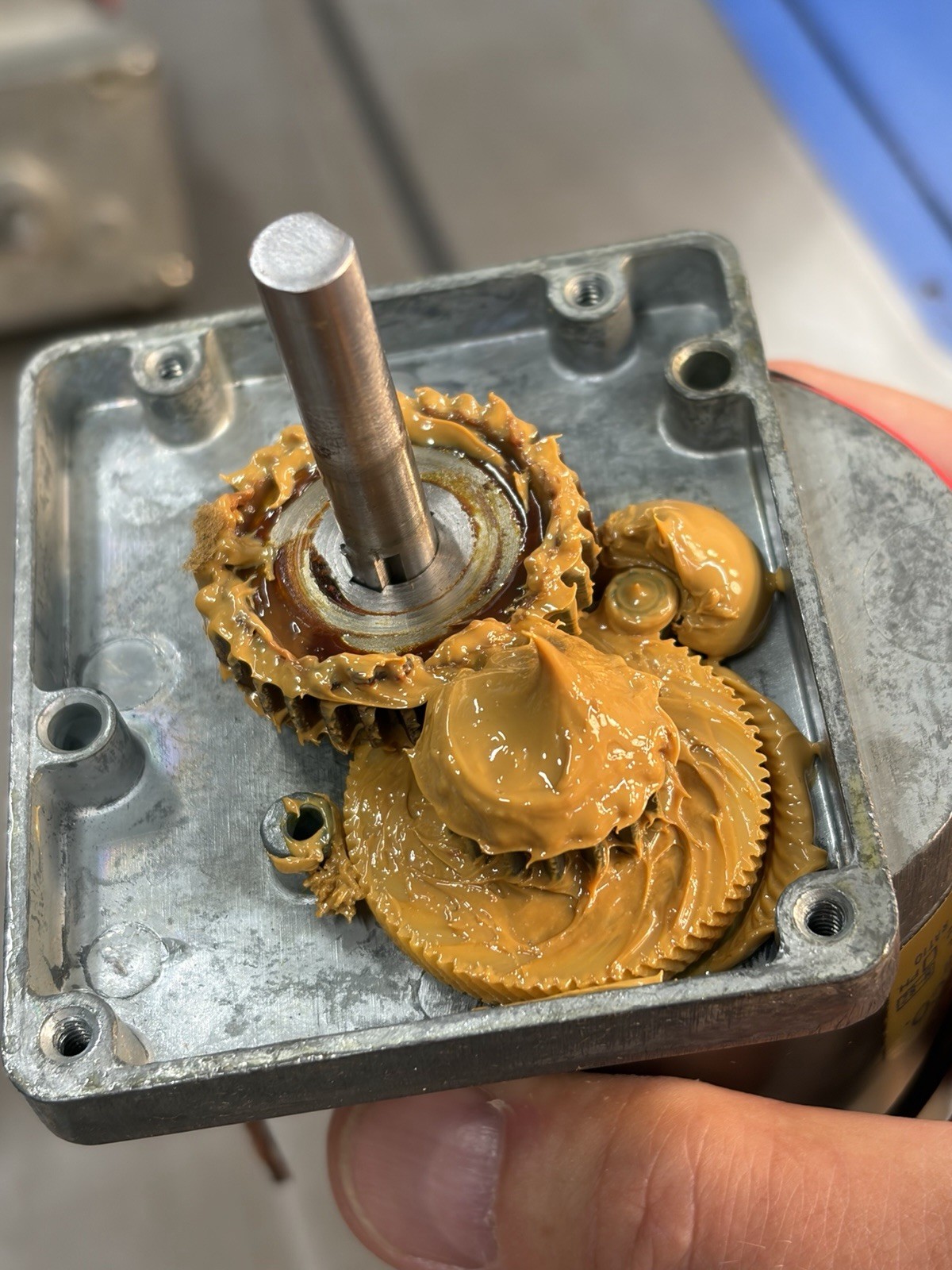 QTY 1 VON WEISE GEAR MOTOR 12 VOLTS 14:1 RATIO BOTH SHAFTS ARE 5/16″ DIAMETER