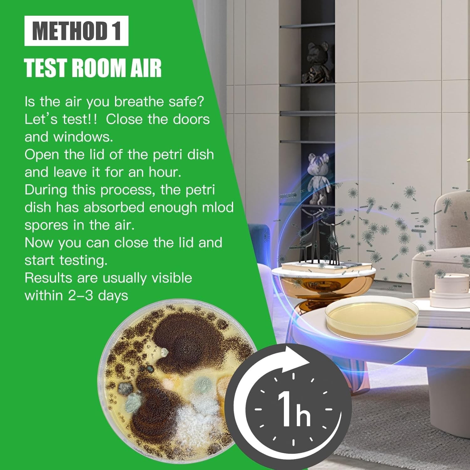 Mold Test Kit for Home Within 8 Individual Tests,DIY Detector at…