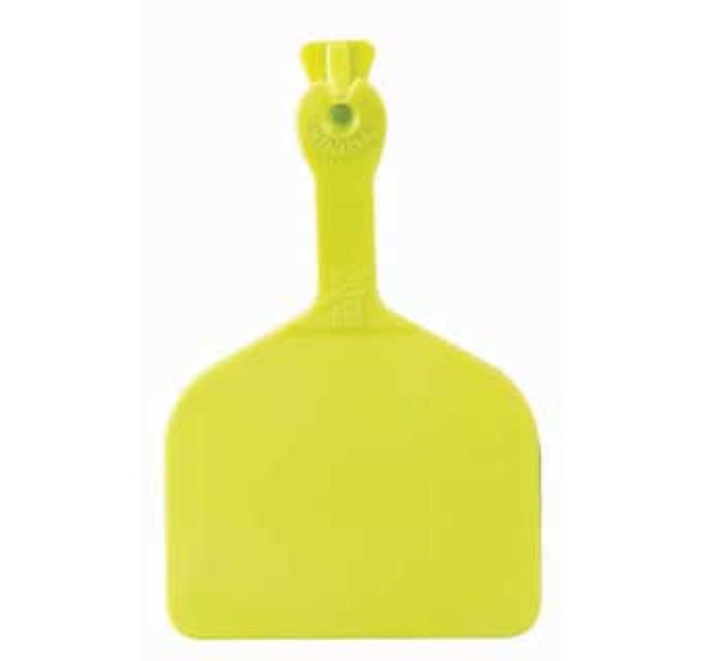 Z Feedlot Ear Tags for Cattle ID CHARTREUSE 200ct—4 pkg 50 tags