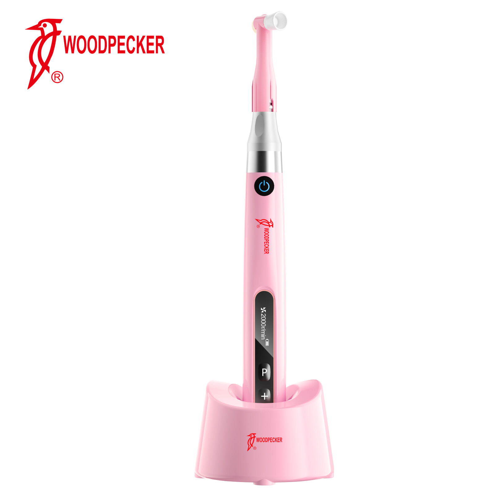 Woodpecker Prophy Mini Dental Cordless Hygiene Handpiece & 100 Prophy Angles 5V