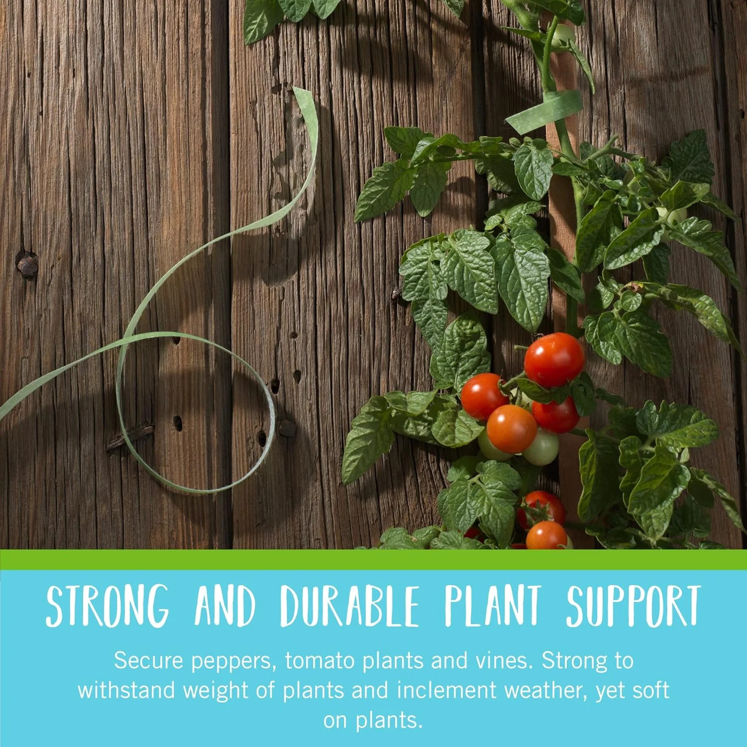 Brand Adjustable Plant Ties | 75 ft x 1/2 in Green Garden Tape | Reusable, Cut-t