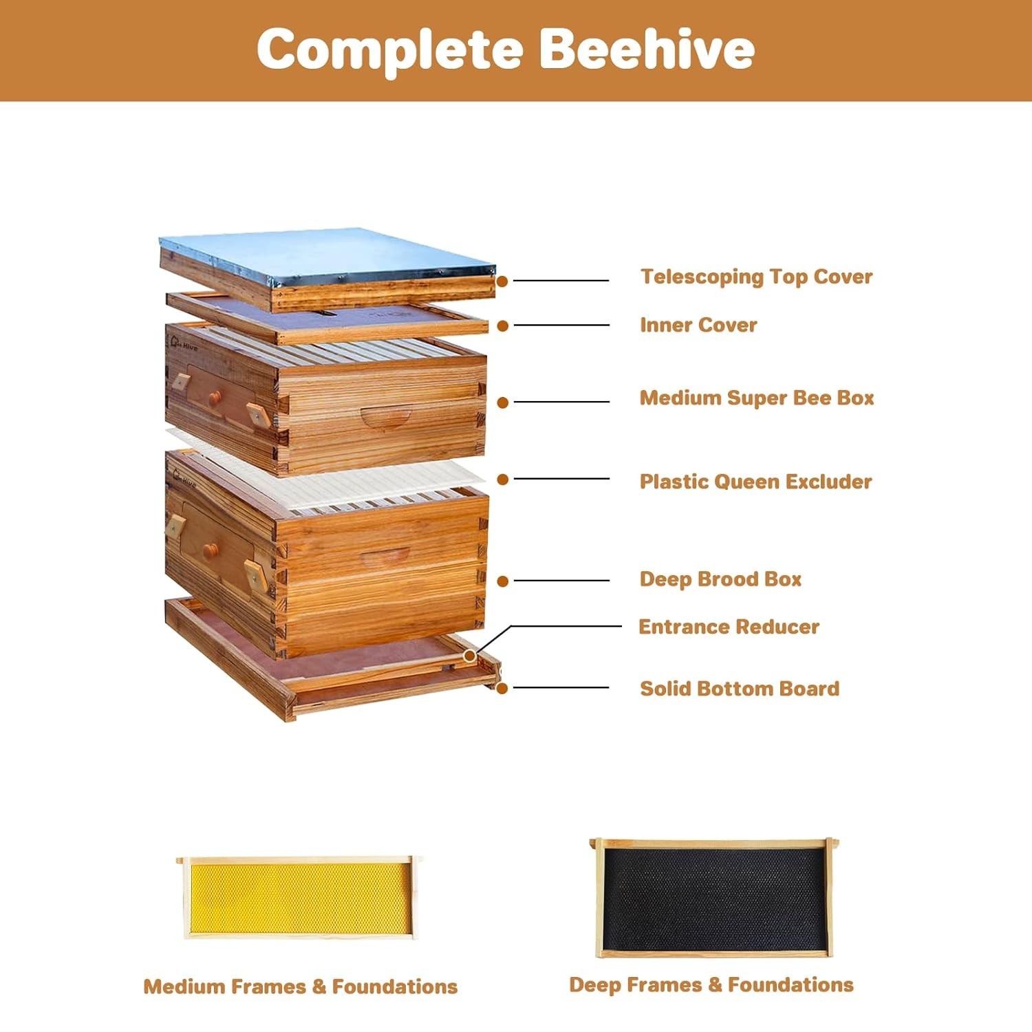 10 Frame Bee Hive Complete Beehive Kit Wax Coated 1 Deep Box & 1 Medium Box