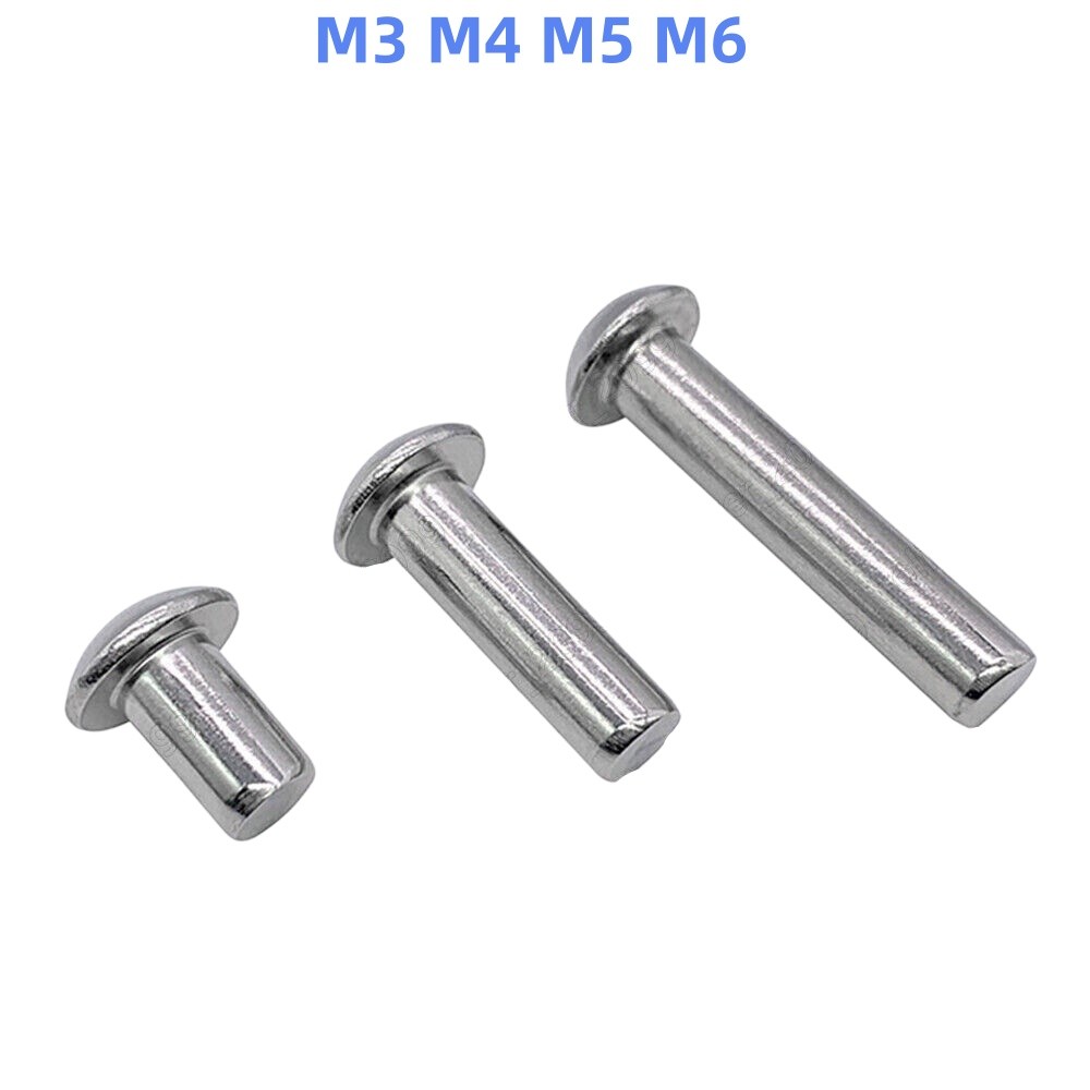 304 Stainless Steel DIN660 Round Head Rivets M3 M4 M5 M6