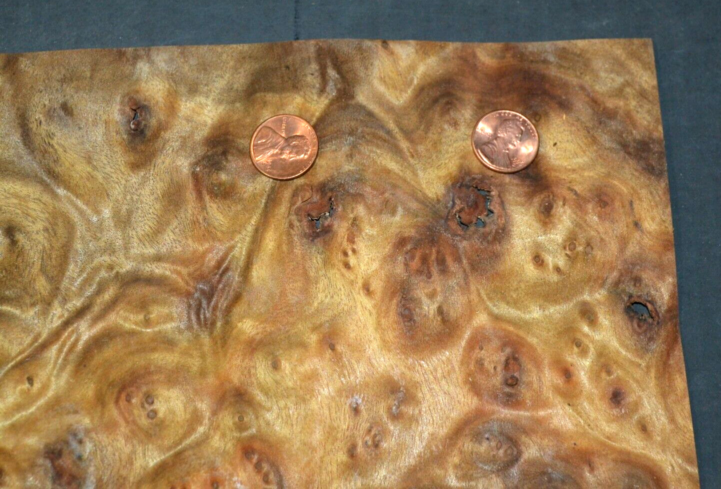 Camphor Burl Raw Wood Veneer Sheet 11.5 x 14.5 inches 1/42nd thick 4672-84
