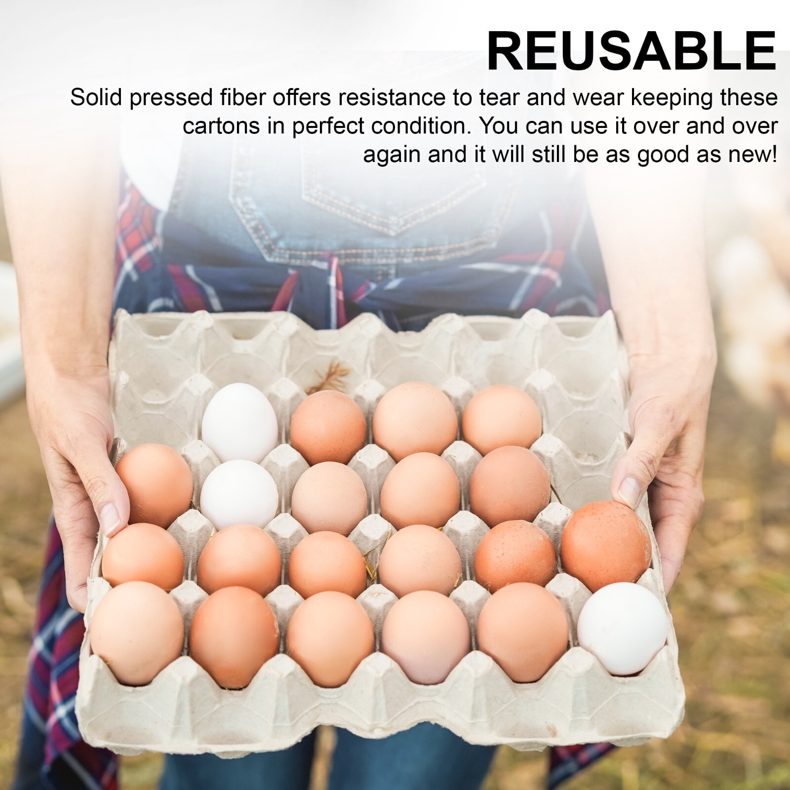 MT Products Pulp Flat Egg Cartons | Stores 30 Large to Small Eggs – Pack of 15