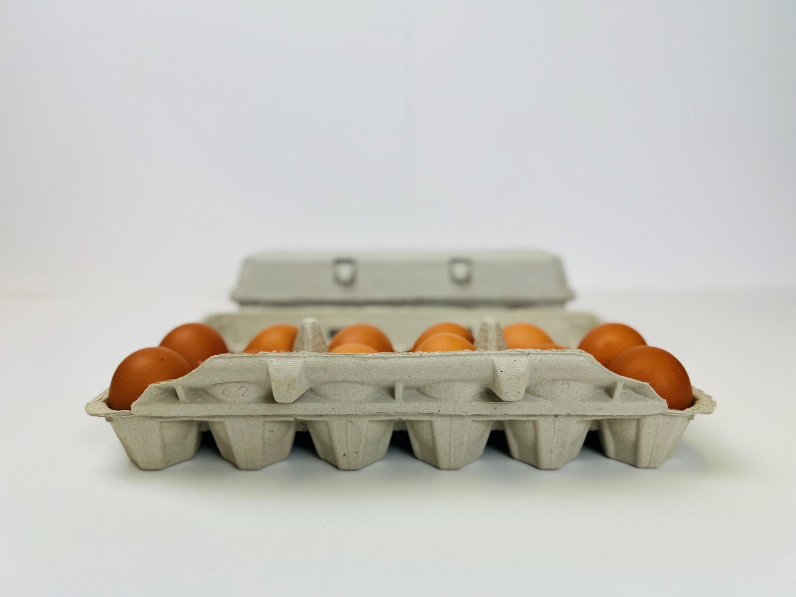 Non-Printed Egg Carton – 100 units