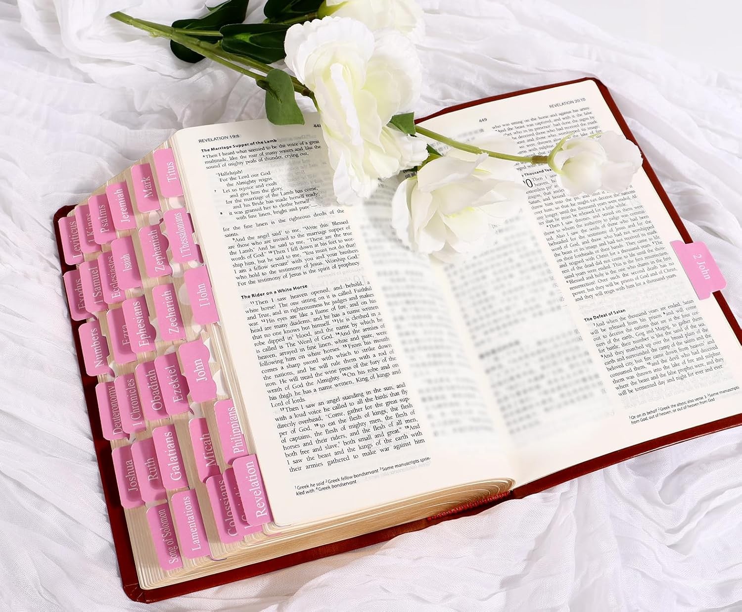 Pink Bible Tabs for Women’s Bible Study – Cute Pink Index Tabs for Bible Chapter