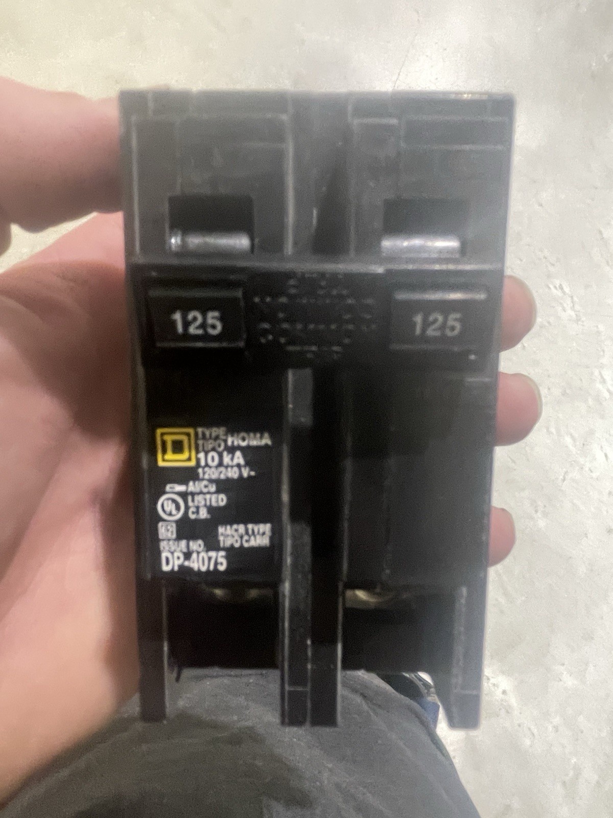 Square D HOM2125CP 125 Amp Two Pole Circuit Breaker- NIB- Free Shipping