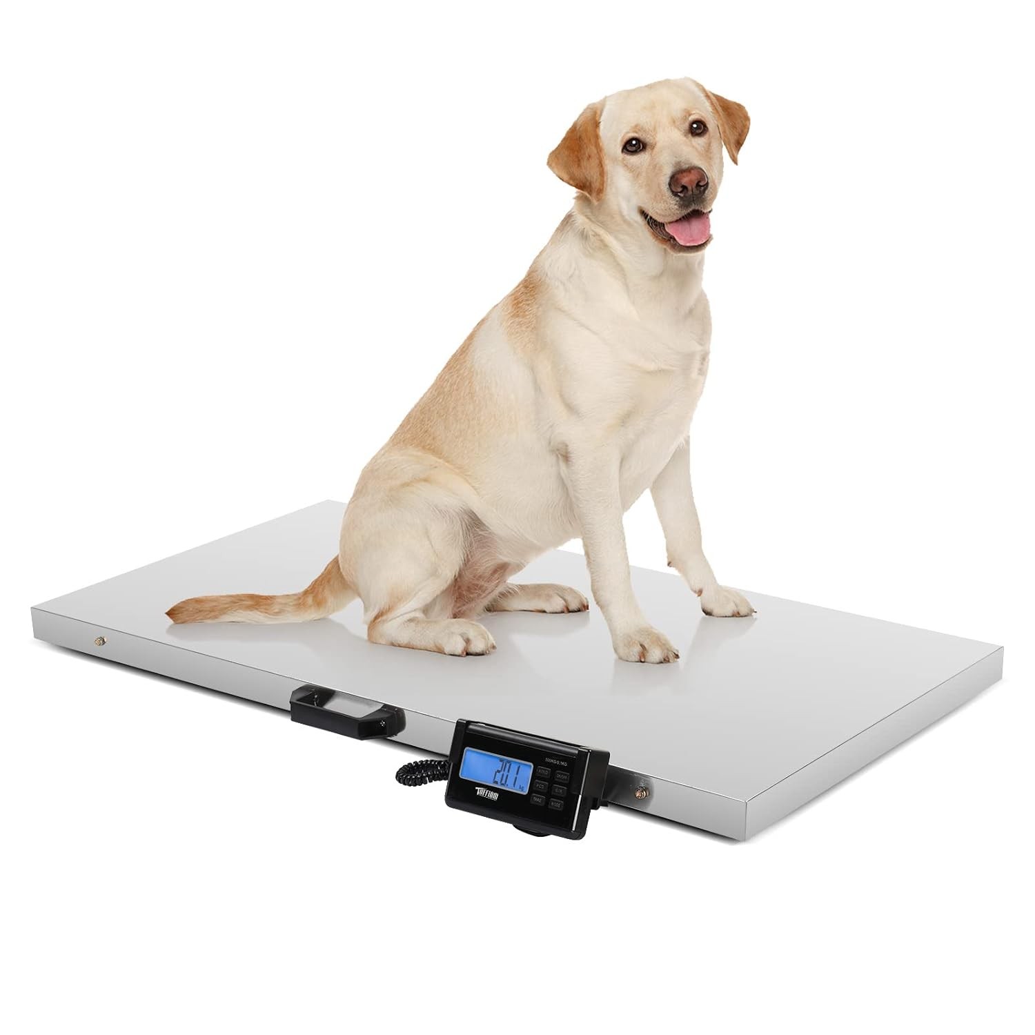 1100Lbs Capacity Stainless Steel Digital Animal Scale, Multi-Units (kg/oz/lb)