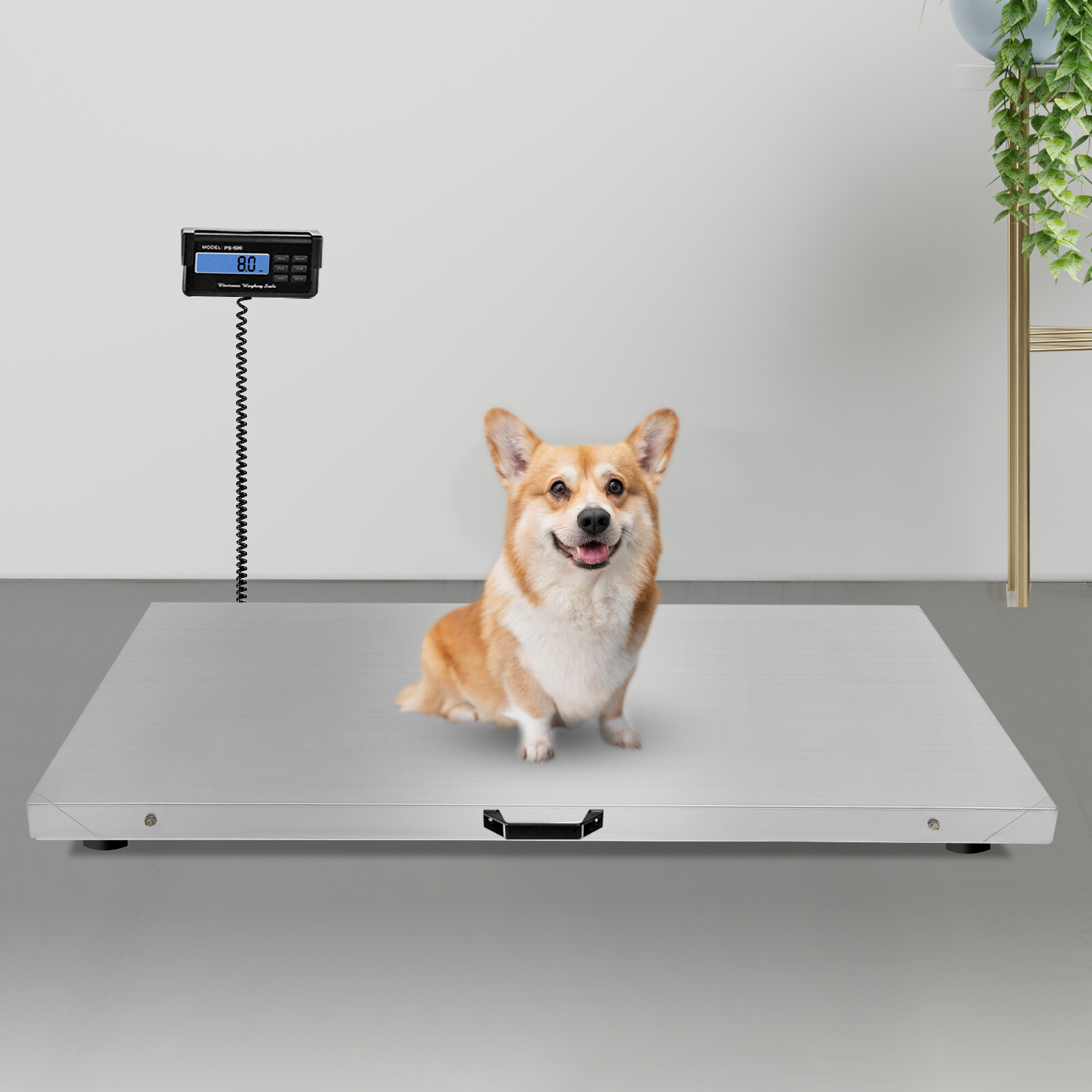 Vet Scale 500kg Veterinary Scale 1100LB Livestock Floor Animal Pet Scale PS-500