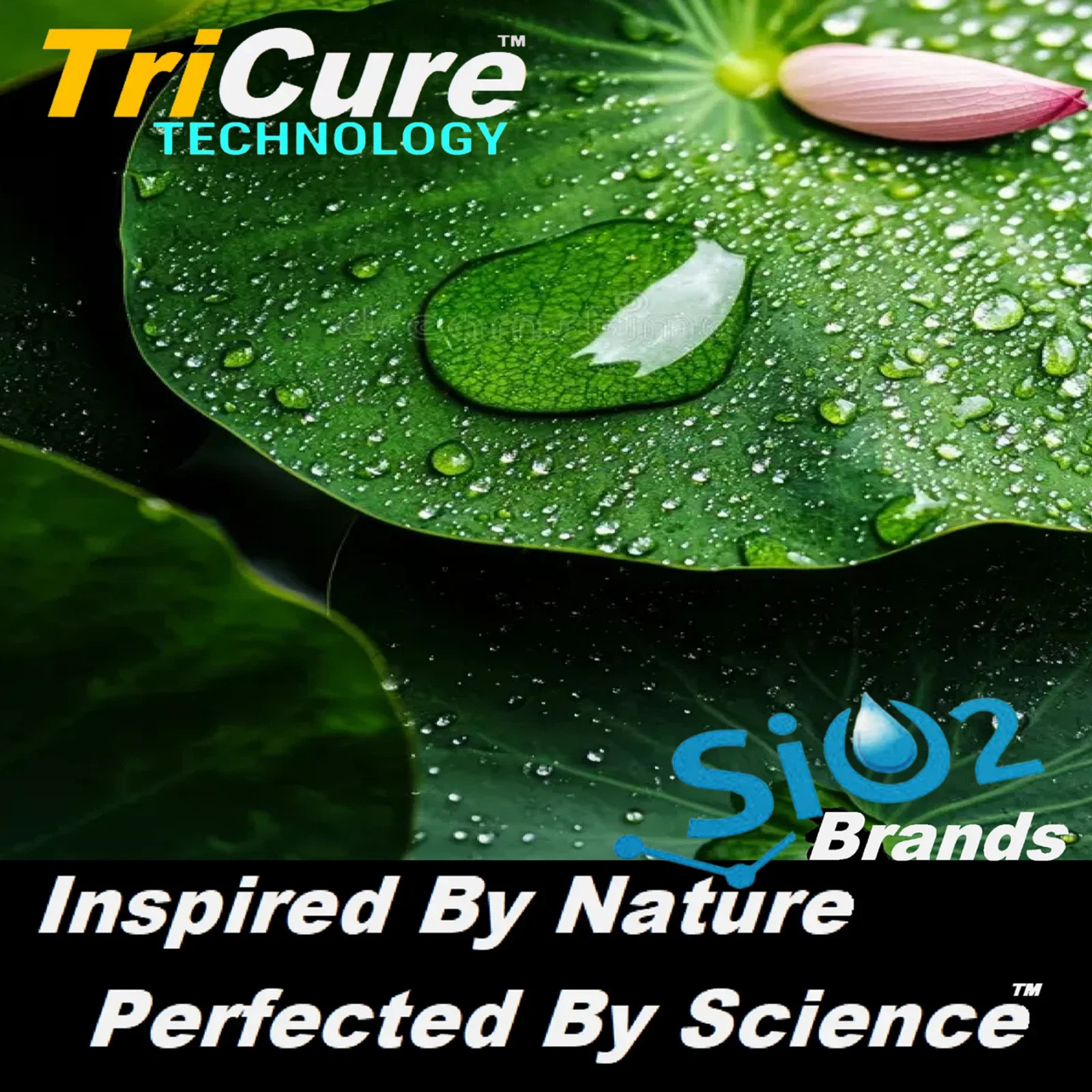 EPOXY RESIN BAR TOPS, TABLE TOPS, COUNTER TOPS, CERAMIC COATING PROTECTION
