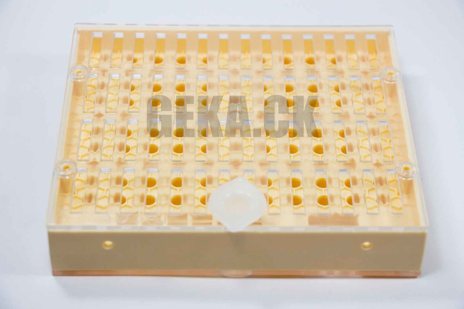 New! Nicot-30 Queen rearing kit, Queen bee raising system breeding set