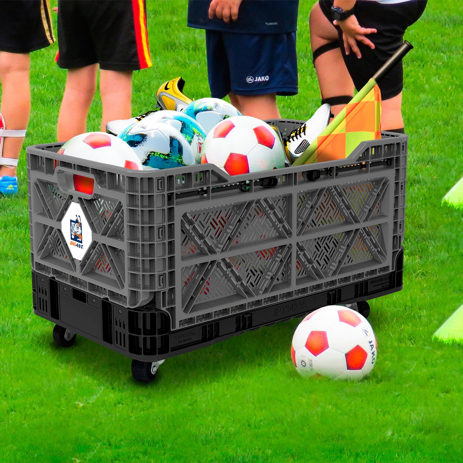 BIG ANT Collapsible Smart Crate, 23.8-Gallon, 265-Lb. Capacity, 16 9/16in.L x