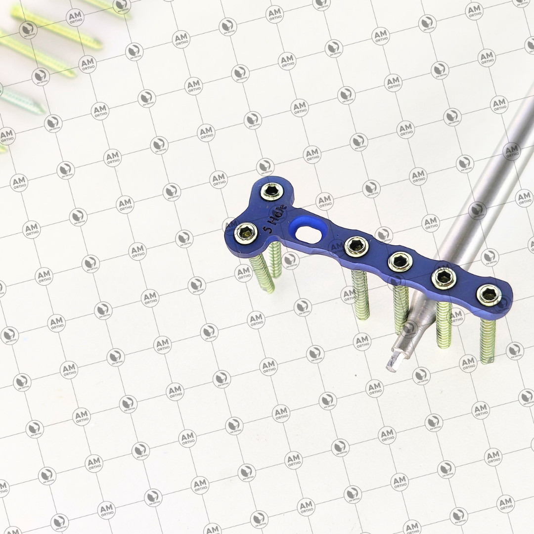 Veterinary 2.0mm Locking 2 Hole Head T Plates with Locking Screws 69 Pcs Set Ti
