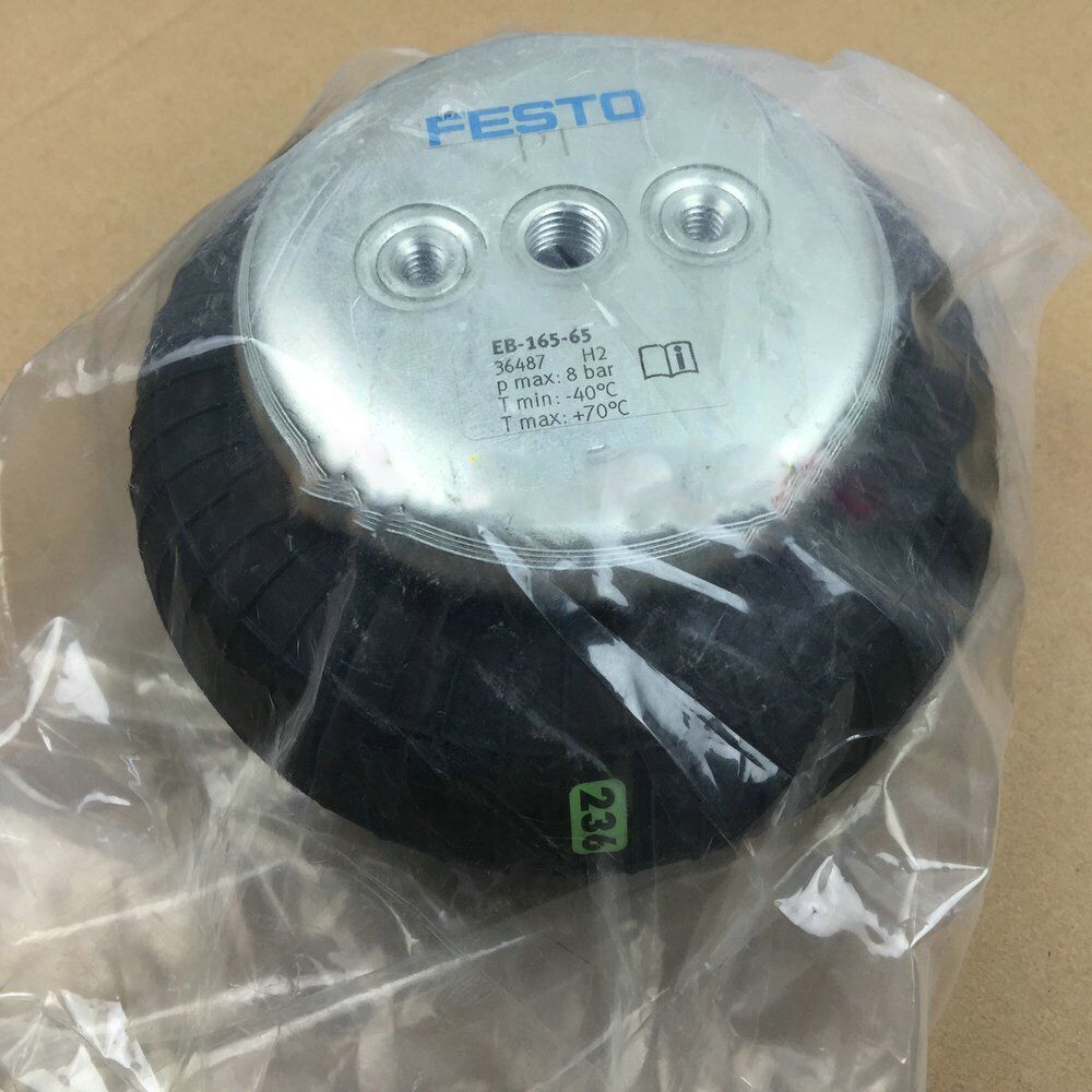 Festo EB-165-65 36487 bladder cylinder New One EB16565 Expedited Shipping