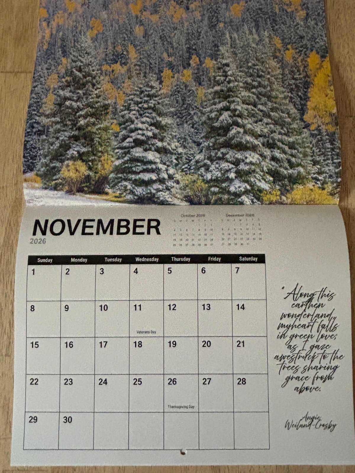 Tree Chronicles – 2026- 12-Month Wall Calendar – Great Tree Photography!