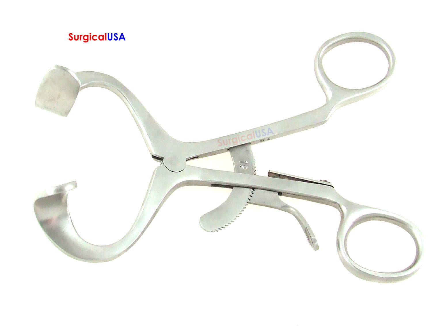 Molt Mouth Gags Adult / Large Size 5.5inch Grip Lock Ring Handle