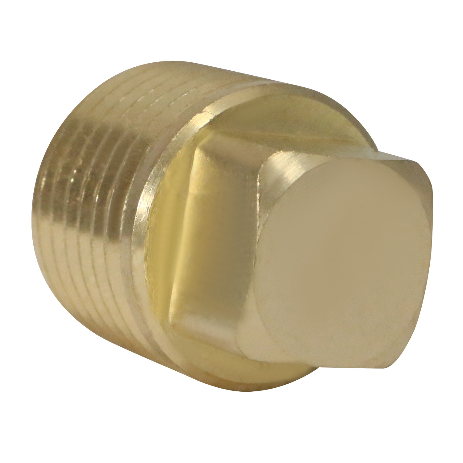 25) 1/2″ MALE NPT PIPE PLUG, SQUARE HEAD, LEAD FREE BRASS, FUEL OIL GAS WATER