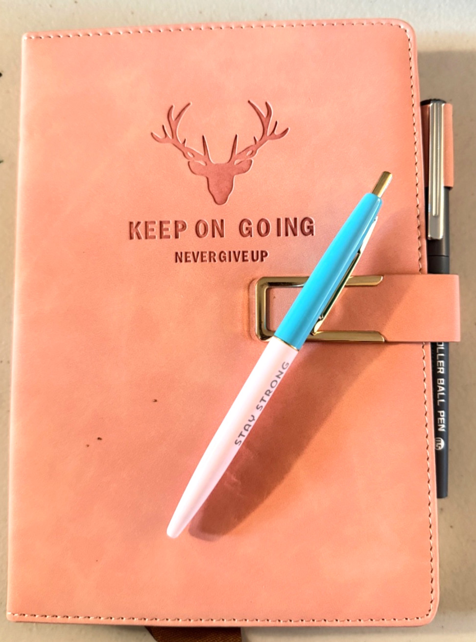 New Journal Diary “Never Give U” 6 X 8″ peach padded cover with TWO pens & carts