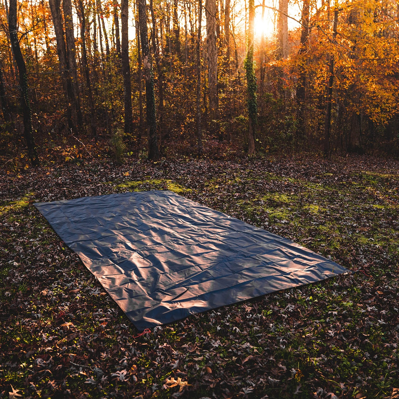 Gazelle Tents™, T4 Plus/T8 Tent Footprint, 300D, Waterproof Ground Tarp, 4
