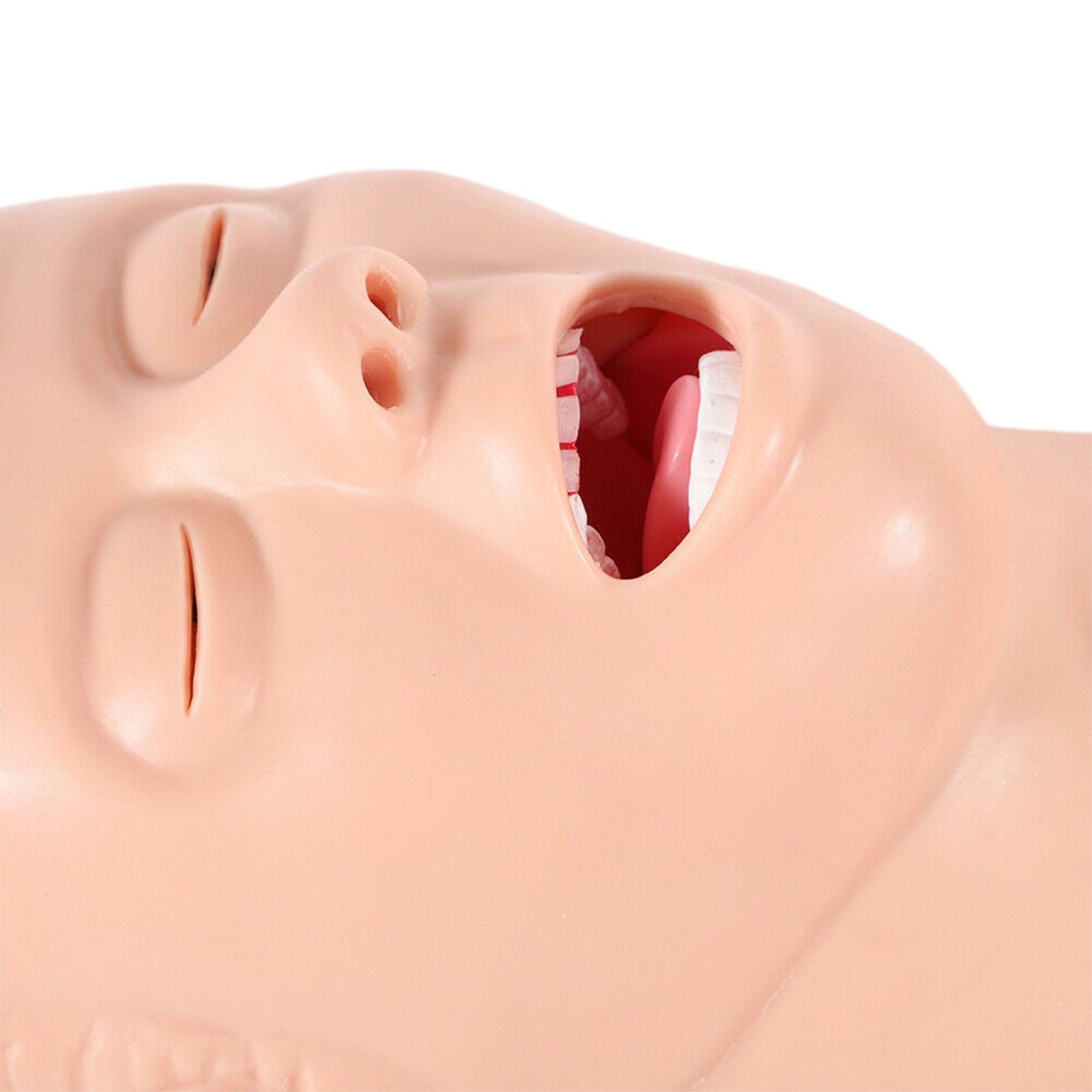 Airway Management Trainer Study Adult Oral Intubation Manikin Teaching Model NEW