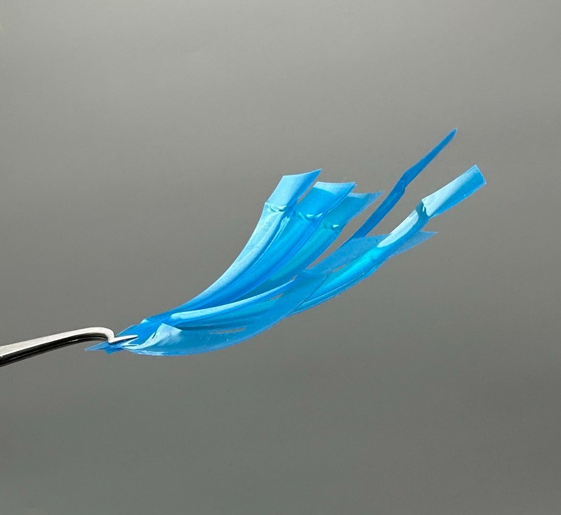 Dental Anterior Restoration Matrix Composite Resin Matrices Blue Strip 50Pcs/box