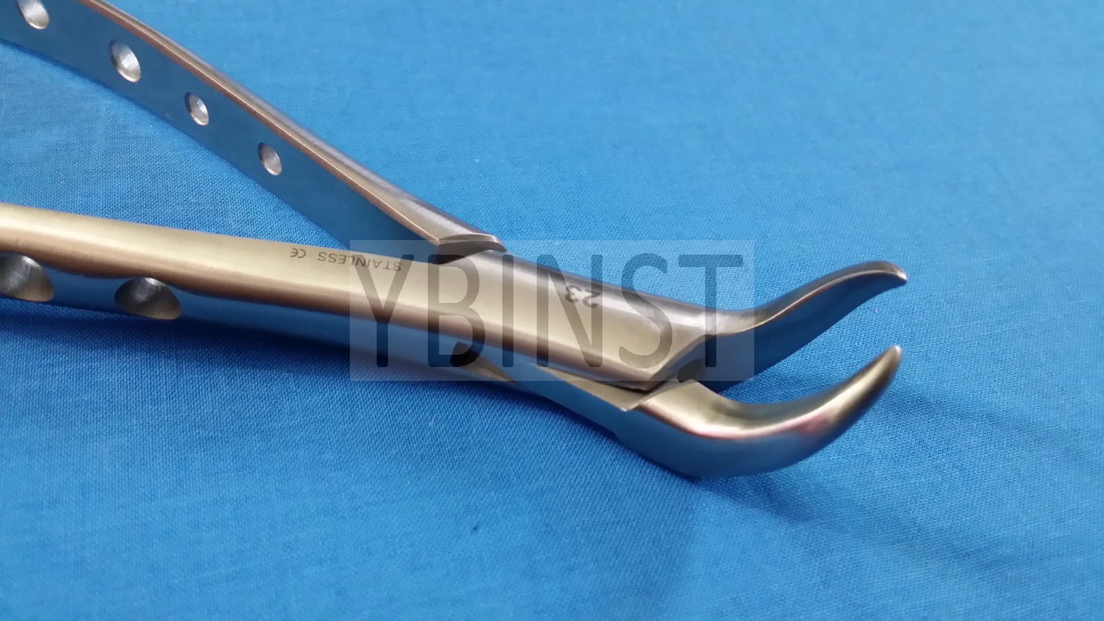 GOLD HANDLE AUTOCLAVABLE COW HORN LOWER MOLAR DENTAL EXTRACTING FORCEPS #23