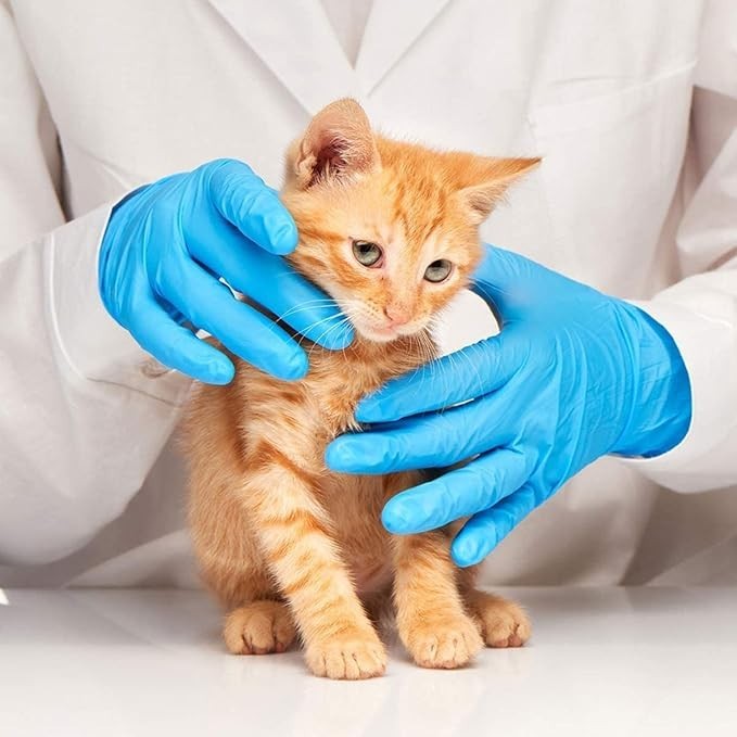 Blue Nitrile Medical Gloves Powder-Free Food Grade Disposable Glove 100 / 1000