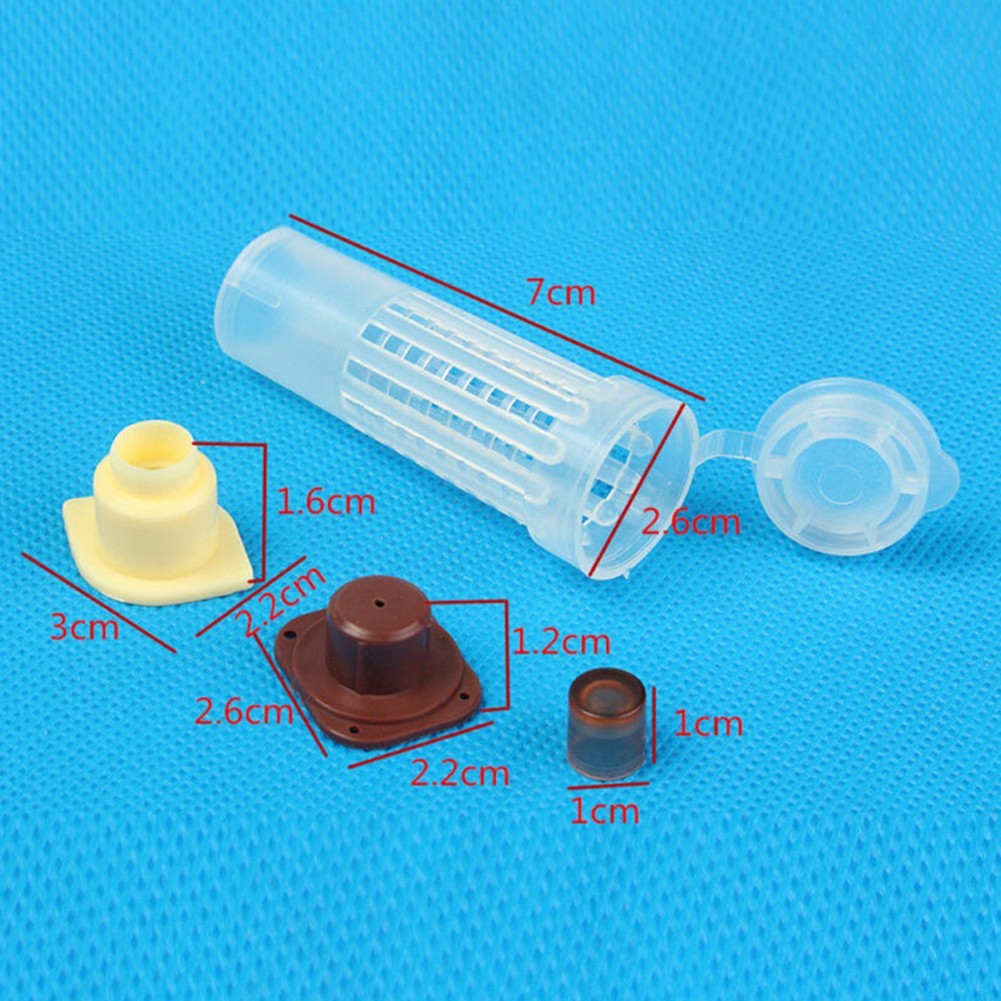 Rearing Cup Kit Plastic Bee Queen Box System Brown Complete 1 Set Home
