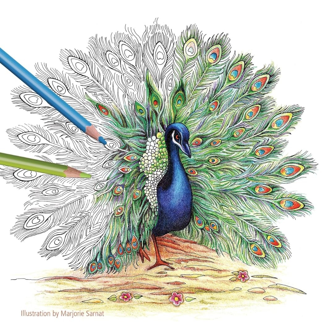 STAEDTLER Colored Pencils Set 6-Pack (6 1 Count (Pack of 432), Multicolor