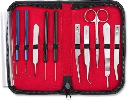 10 pcs Entomological Dissecting Instrument Kit Set Stainless Steel German Grade