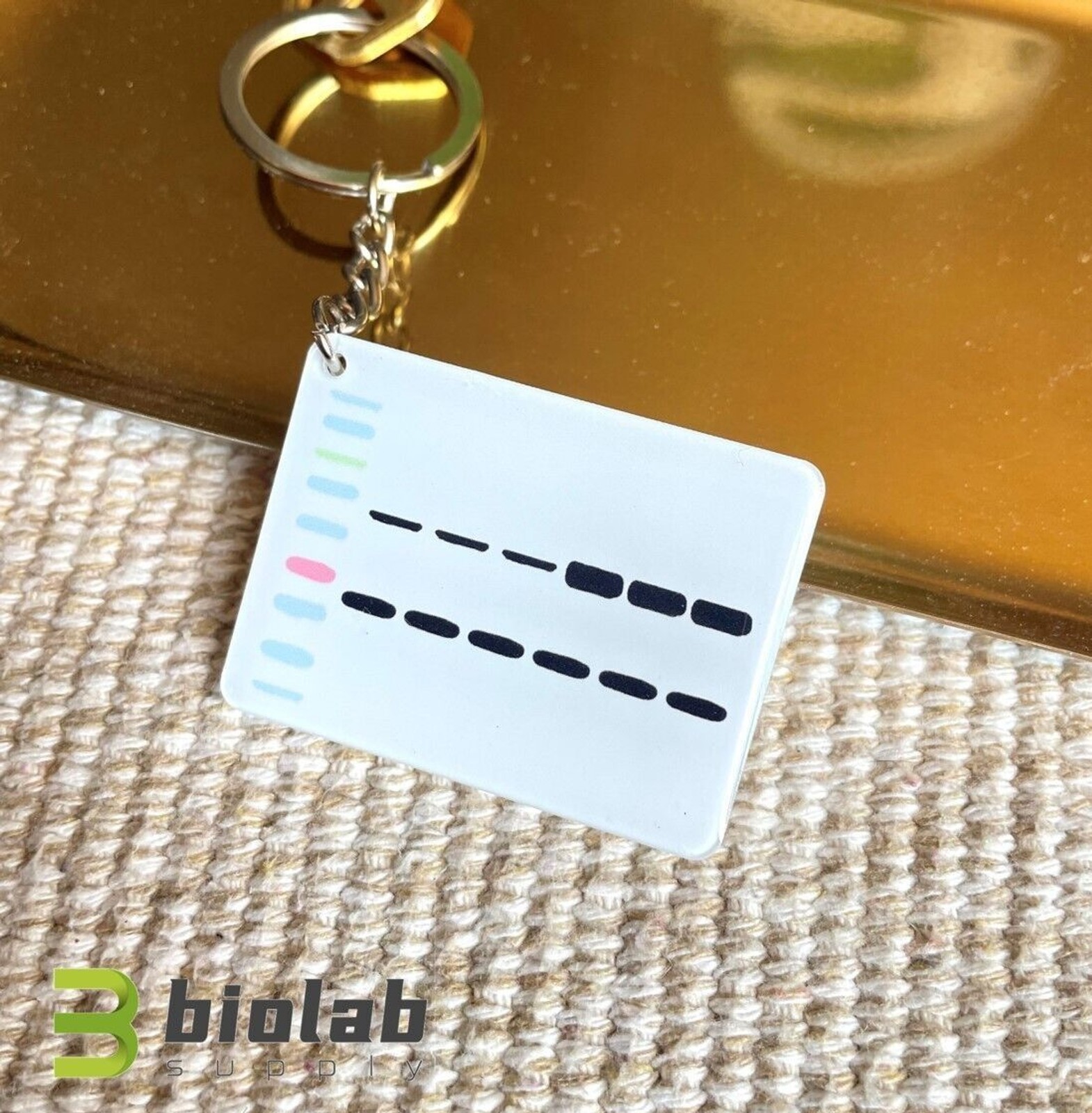 Western blot keychain, Original design research keychain