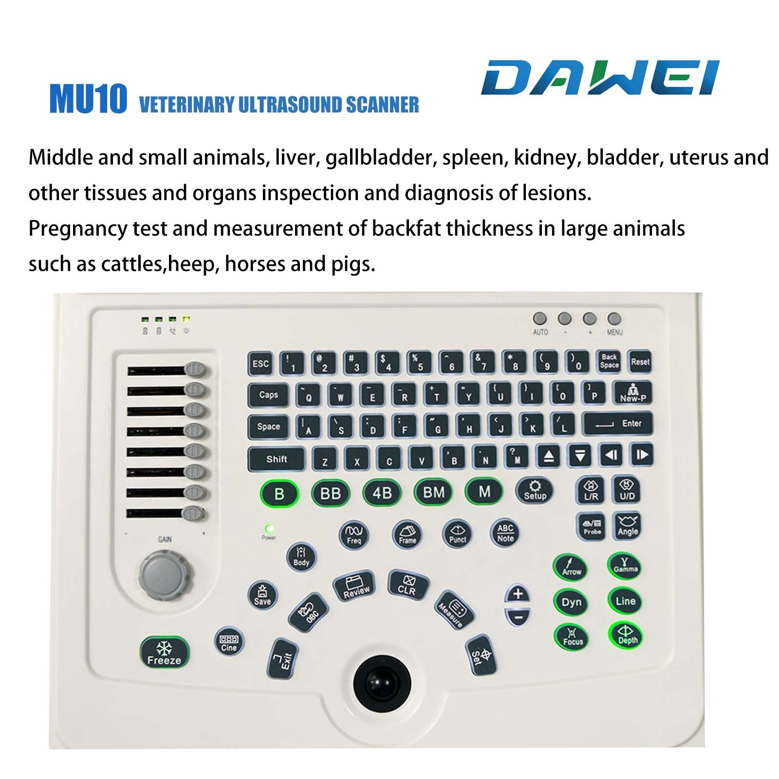Laptop Vet Ultrasound Machine Scanner 5.0Mhz Micro-Convex probe For pregnancy