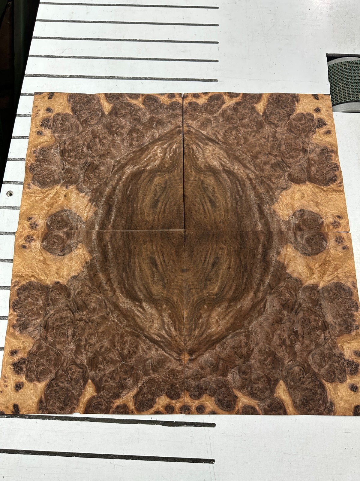 Walnut Burl Raw Wood Veneer 2 sheets 11″ x 11″ 522G