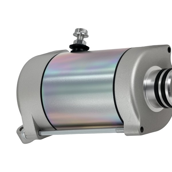 12V Starter Motor fit for Polaris ACE 900 EPS 2016-2019 4014548 4014037 SMU0541