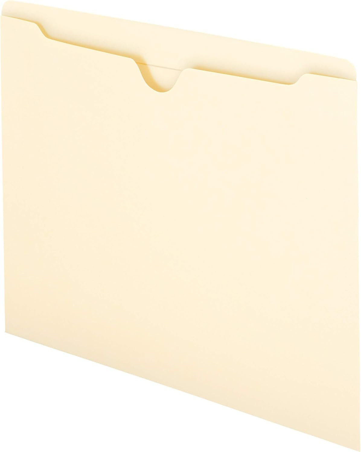 File Jacket, Reinforced Straight-Cut Tab, Flat-No Expansion, Letter Size,