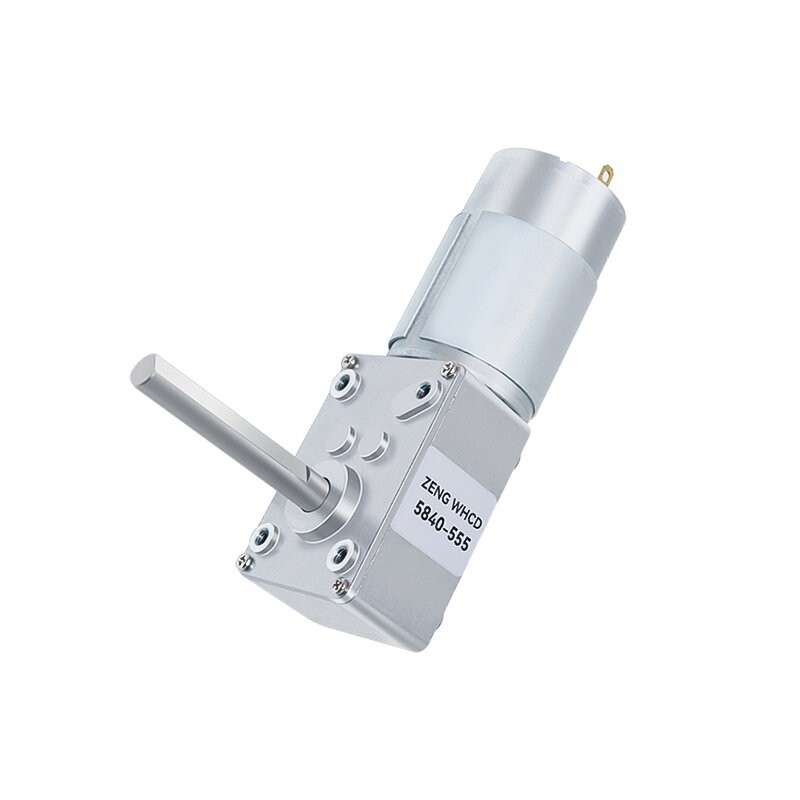 5840-555 Worm Gear Brush Motor 12V 24V Single Long Shaft Self-locking Metal Gear