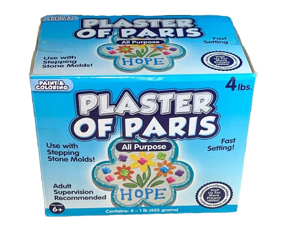 Plaster of Paris, ALL PURPOSE Sets In 20 To 30 Minutes – 4 Lbs Paint & Color