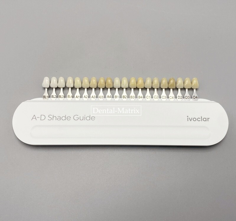 Ivoclar Vivadent Dental Teeth Shade Guide A-D 20 Colors Porcelain Color Chart